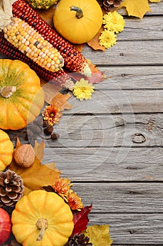 Fall background with pumpkins