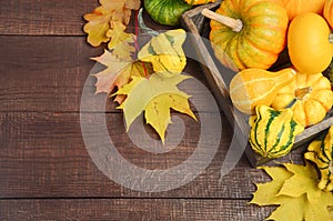 Fall background with pumpkins