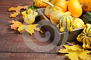 Fall background with pumpkins