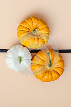 Fall background with small pumpkins