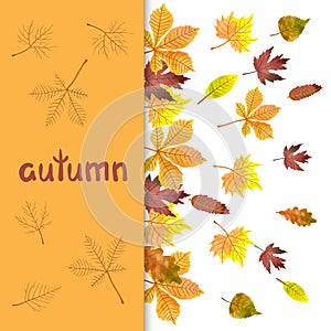 Fall background with watercolor autumn leaves.