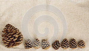 Fall banner of pinecones