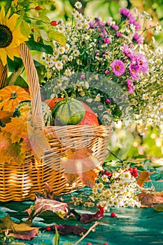Fall basket autumn harvest garden pumpkin fruits colorful flower