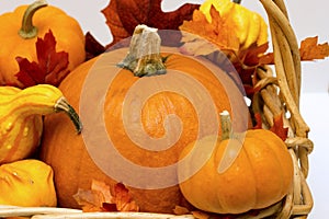 Fall basket overflowing with pumpkins, gourds & fall leaves