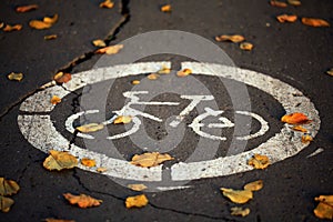 Fall bike path in fallen leaves