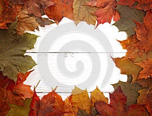 Fall Border of Authenic Leaves on a Wooden Background