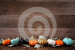 Fall border of colorful pumpkins and silver leaves against a rustic wood background