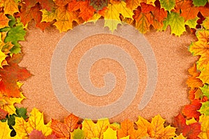 Fall border on corkboard