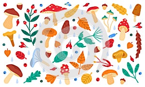 Fall botanical decor. Autumn doodle forest leaves, flowers, berries and mushrooms, botany fall season collection vector
