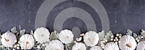 Fall bottom border of white pumpkins and silver leaves over a slate banner background