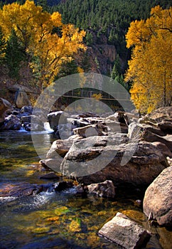 Fall on the Cache Lapoudre Colorado