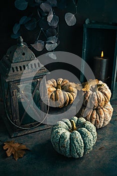 Fall candle decoration with pumpkins, wooden home decor still life scented candle