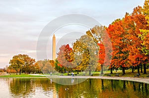 Fall on the Capitol Mall