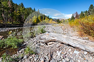 Fall on the Carson River