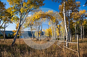 Fall on Casper Mountain Wyoming