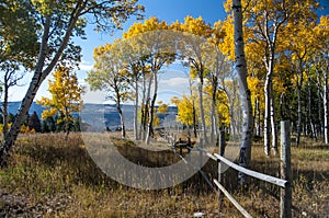 Fall on Casper Mountain Wyoming