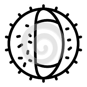 Fall chetnut icon, outline style