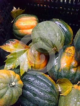 Fall in the City Farmers Market photo