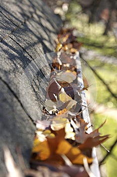 Fall Cleanup - Leaves in Gutter