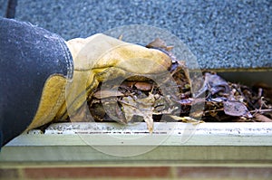 Fall Cleanup - Leaves in Gutter photo