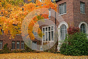 Fall College Campus