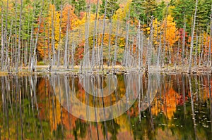 Fall Color in the Adirondacks