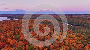 Fall color from the air