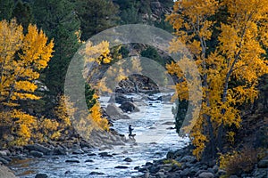 Fall Color along the Arkansas River