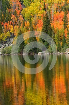 Fall Color on Bear Lake in Rocky Mountain National Park