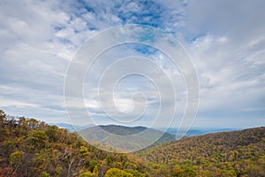 Fall color and Blue Ridge Mountains view from Skyline Drive in Shenandoah National Park, Virginia