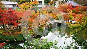 Fall color and bridge in Eikando temple, Kyoto