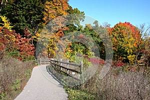 Fall color on Chorley Park to Beltline Trail, Toronto, Ontario