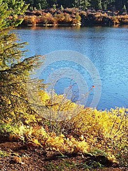 Fall color at Clear Lake