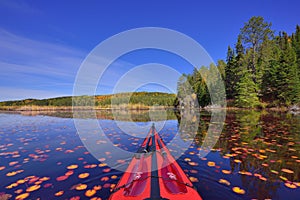 Fall color from cockpit of kayak