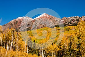 Fall Color in Crested Butte Colorado