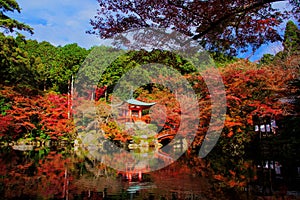 fall color at Daigoji temple in Kyoto