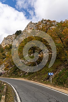 Fall color forest and rocky cliffs with a winding mountain road