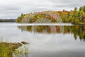 Fall Color on a Lake in Algonquin Provincial Park, Ontario, Canada photo