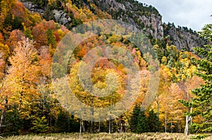 Fall color in Lake Placid NY