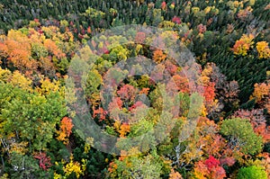 Fall color in Lake Placid NY