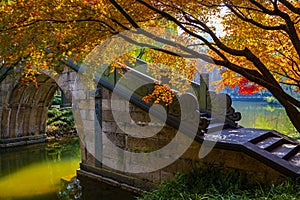 Fall Color Landscape with Stone Bridge and Walking Path