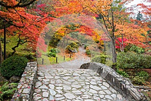 Fall Color Landscape with Stone Bridge and Walking Path