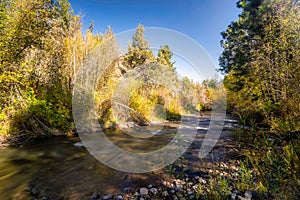 Fall Color Leaves and Trees surrounding Whychus Creek in Oregon