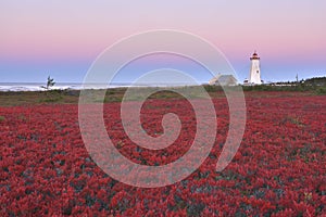 Fall color and light house