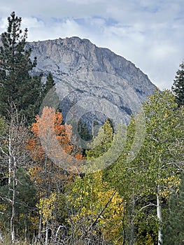 Fall Color mountain Scene