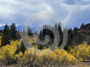 Fall Color mountain Scene