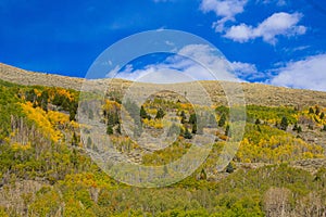 Fall Color mountain Scene