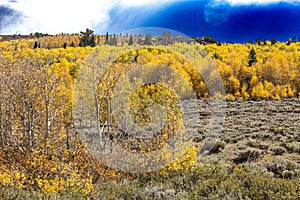 Fall Color mountain Scene