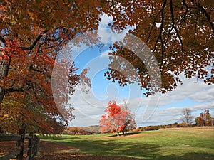 Fall color at Oatlands