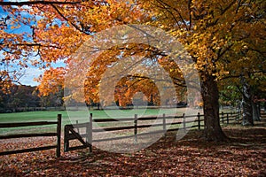 Fall color at Oatlands